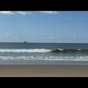 Meet your Posher, Suzanne